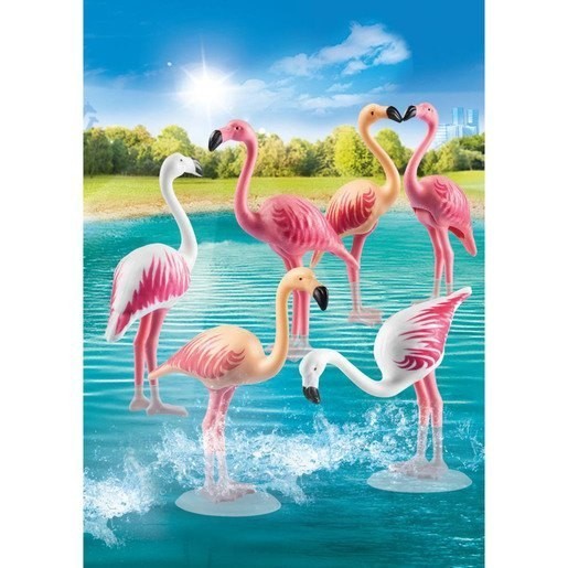 Father's Day Sale - Playmobil 70351 Loved Ones Exciting Flock of Flamingos - Doorbuster Derby:£7