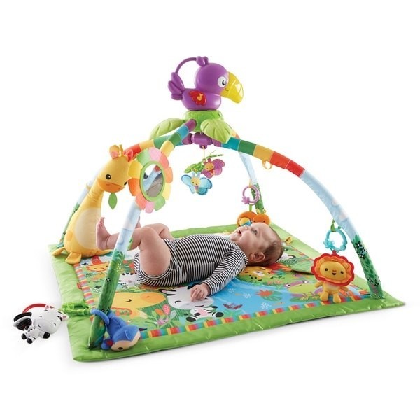 Fisher-Price Rain Forest Songs & Lighting Deluxe Fitness Center Infant Toy