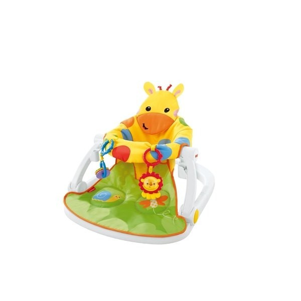 Fisher-Price Giraffe Sit Me Up Floor Seat along with Holder
