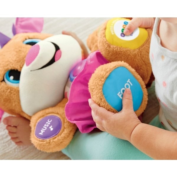 Fisher-Price Laugh & Learn Smart Presents Sis Knowing Plaything