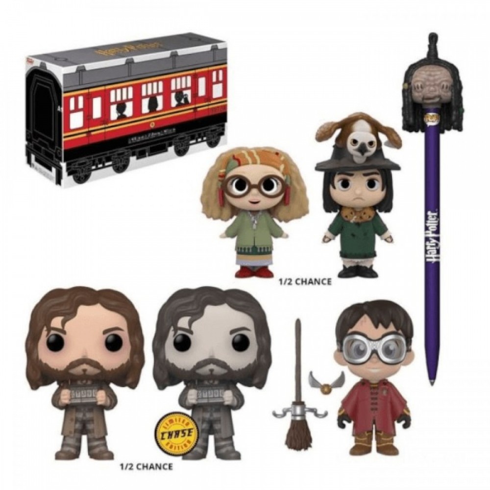 Funko Harry Potter EXC Puzzle Gift Container