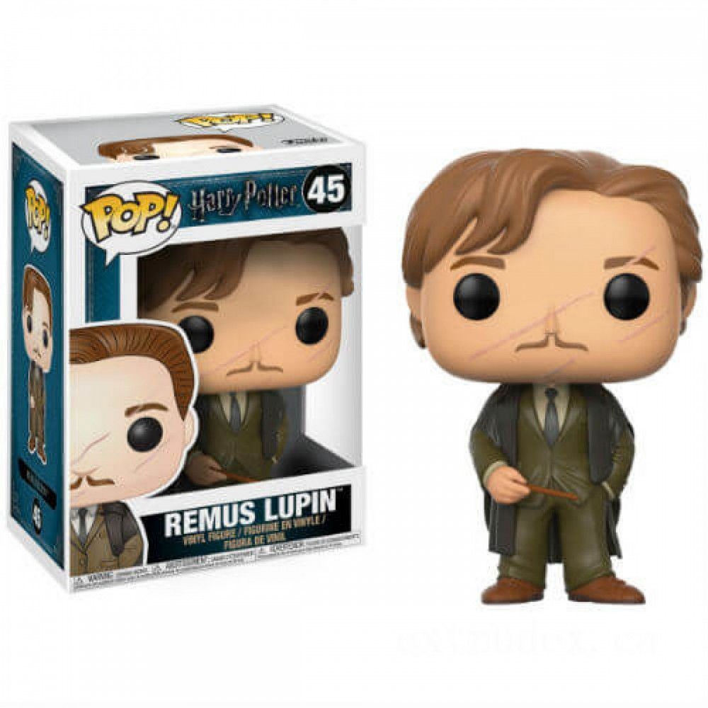Harry Potter Remus Lupin Funko Stand Out! Vinyl