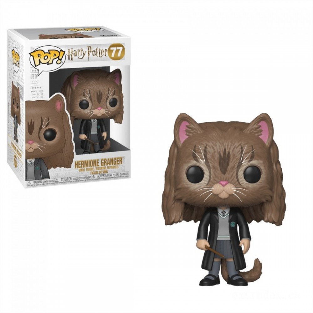 Harry Potter Hermione as Feline Funko Stand Out! Plastic