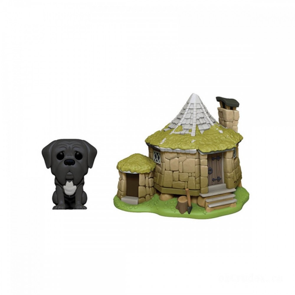 Harry Potter Hagrid's Hut along with Cog Funko Pop! Town