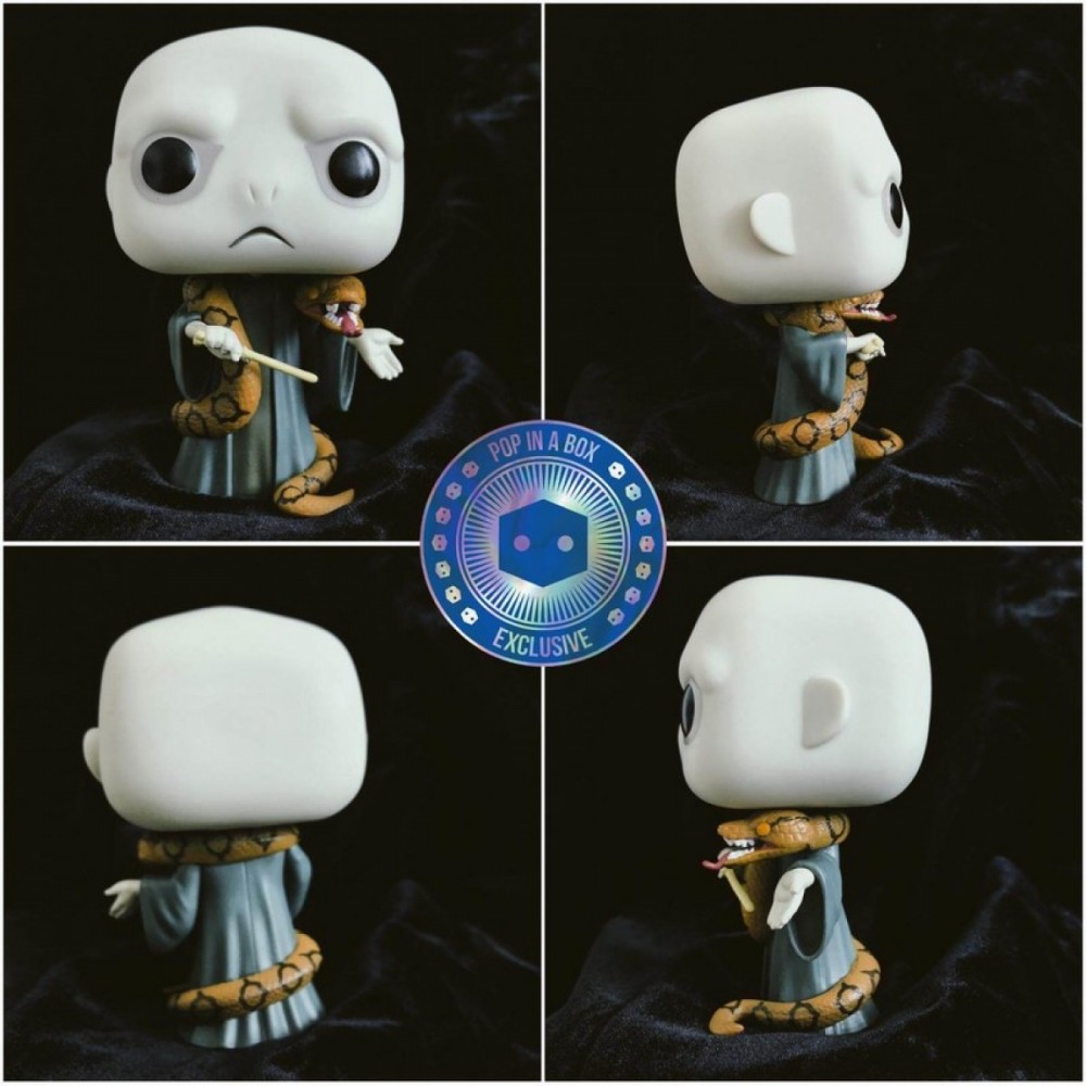 PIAB EXC Harry Potter Voldemort along with Nagini Funko Stand Out! Plastic