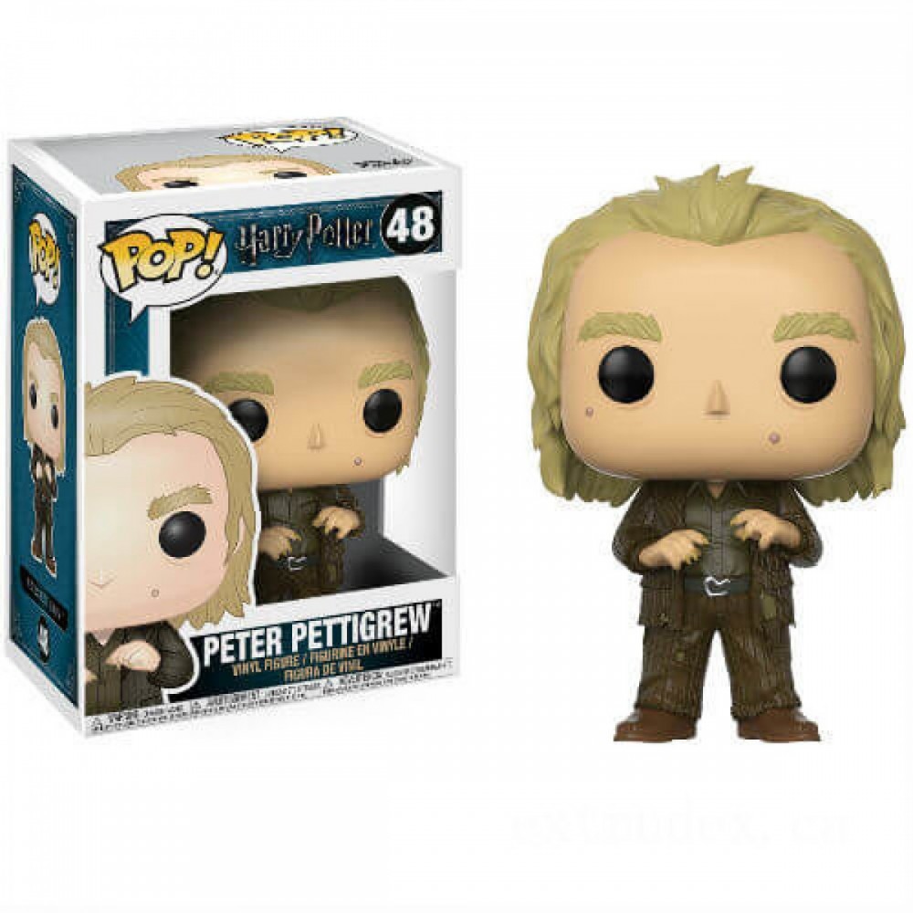 Bonus Offer - Harry Potter Peter Pettigrew Funko Stand Out! Plastic - Steal-A-Thon:£7