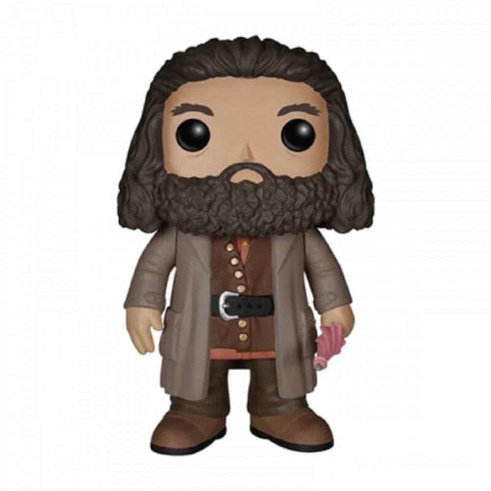 Harry Potter Rubeus Hagrid 6 In Funko Stand Out! Vinyl fabric