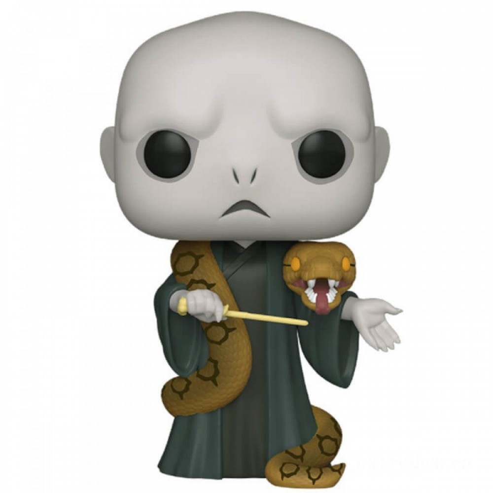 Harry Potter Voldemort along with Nagini 10-Inch Funko Stand Out! Plastic