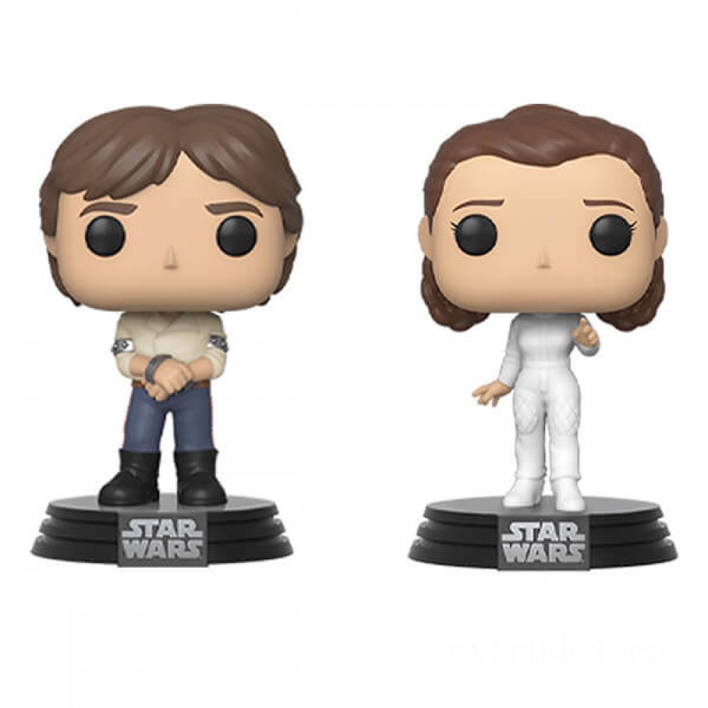 Celebrity Wars Realm Attacks Back Han and also Leia Funko Stand Out! Vinyl fabric 2-Pack